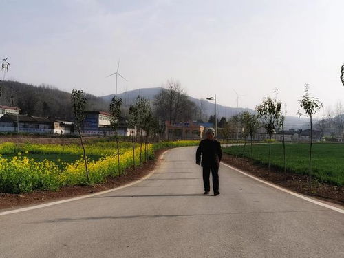 中原云裳牧場(chǎng) 魯山縣生態(tài)旅游新地標(biāo)，點(diǎn)亮東部文旅新版圖