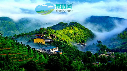 茶香漫山巒，文旅譜新篇——宜賓市敘州區(qū)天宮山茶旅融合開(kāi)發(fā)項(xiàng)目有序推進(jìn)